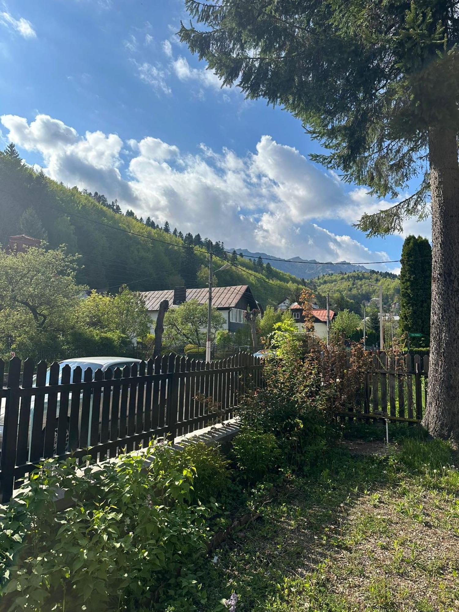 Rapsodia Sinaia Bed & Breakfast Eksteriør bilde
