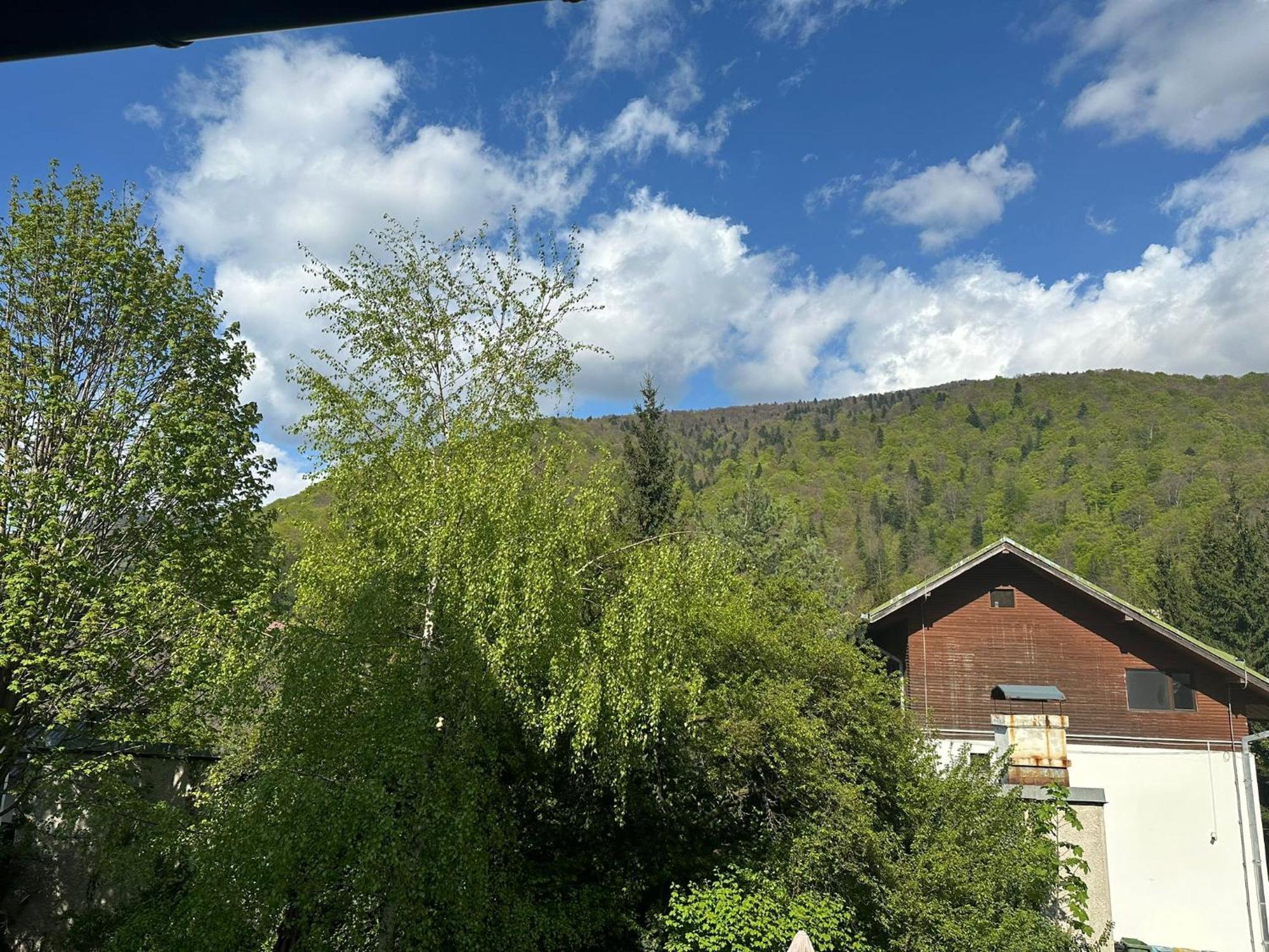 Rapsodia Sinaia Bed & Breakfast Eksteriør bilde