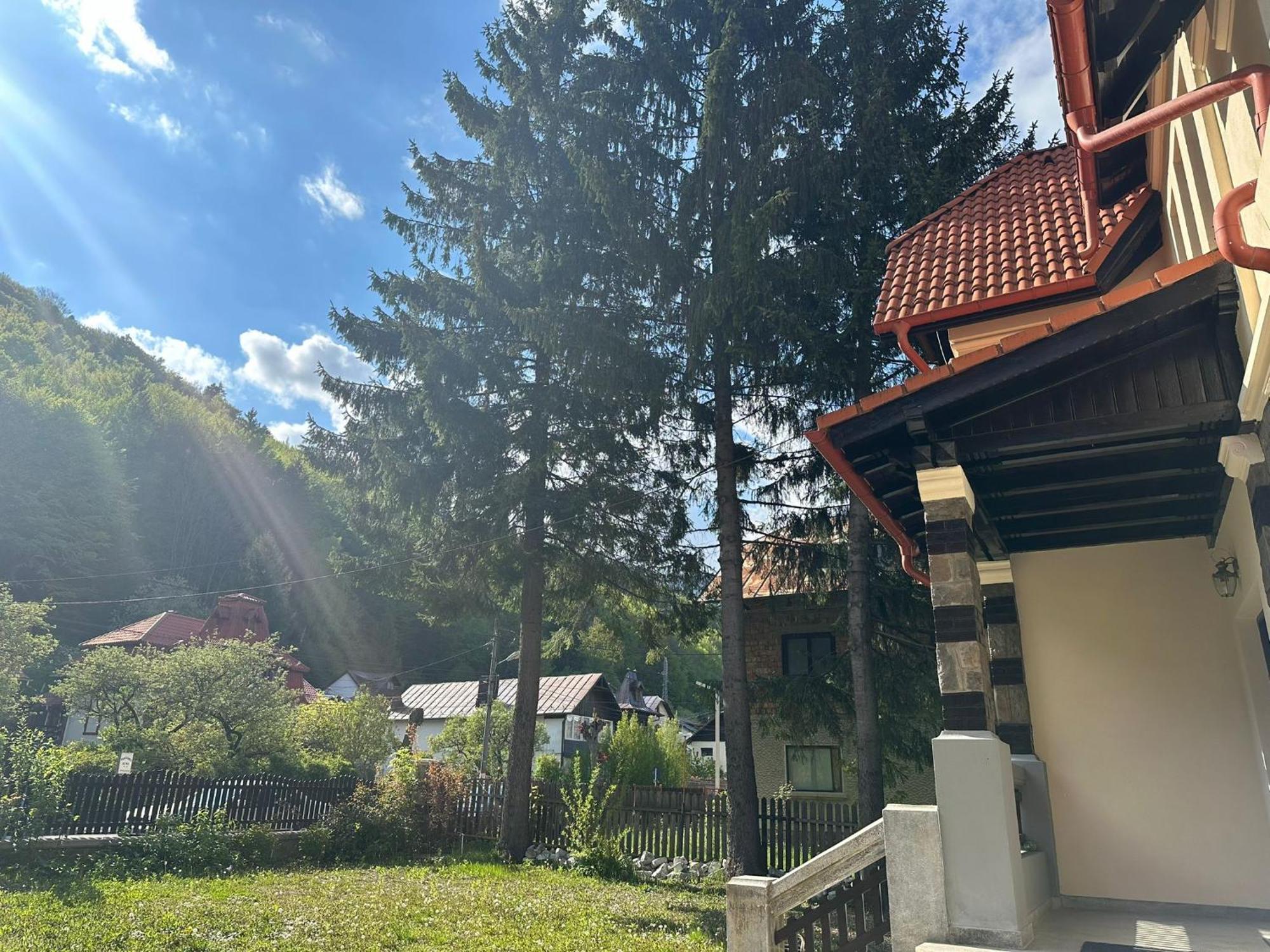 Rapsodia Sinaia Bed & Breakfast Eksteriør bilde