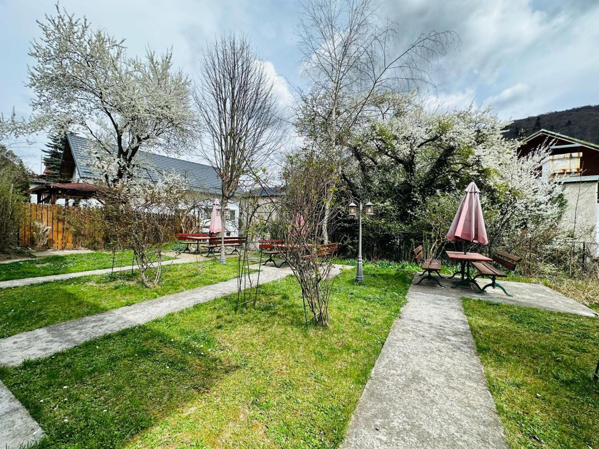 Rapsodia Sinaia Bed & Breakfast Eksteriør bilde
