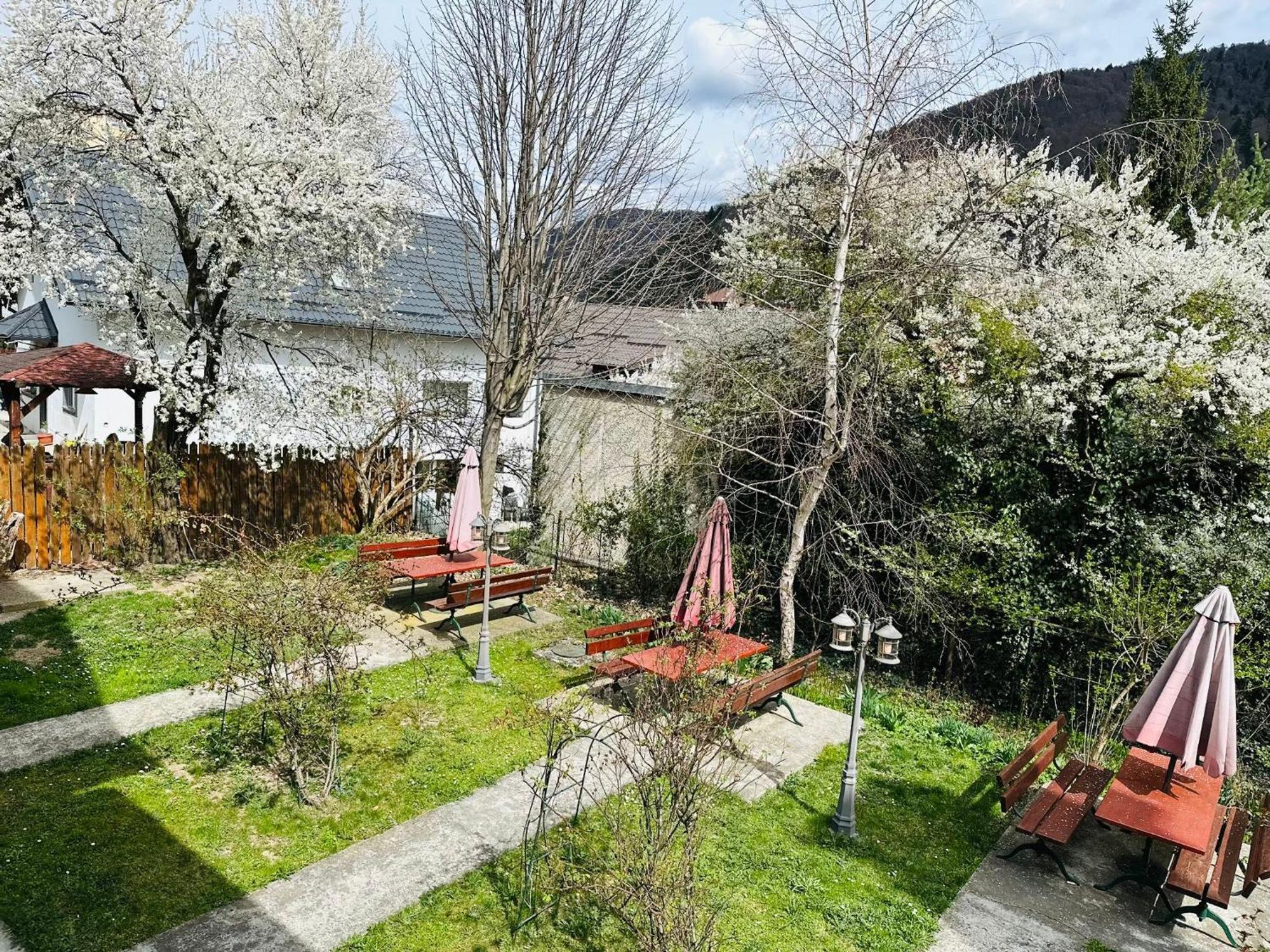 Rapsodia Sinaia Bed & Breakfast Eksteriør bilde